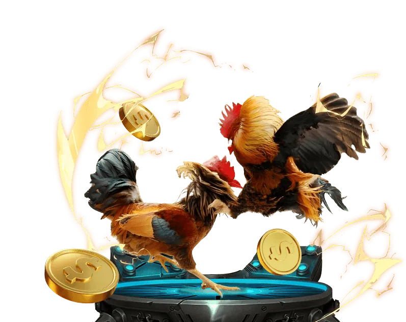 Sảnh đá gà trực tuyến GI8 Đăng Nhập